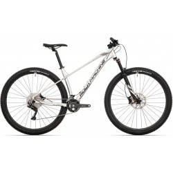 Rock Machine Torrent 50-29 2021