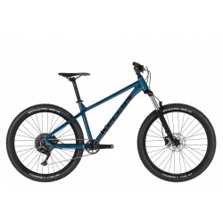 Kellys Gibon 10 2021