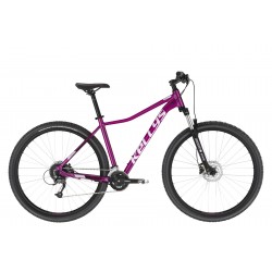 Kellys Vanity 70 2021
