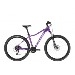 Kellys Vanity 50 2021