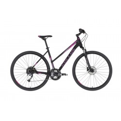 Kellys Pheebe 10 2021
