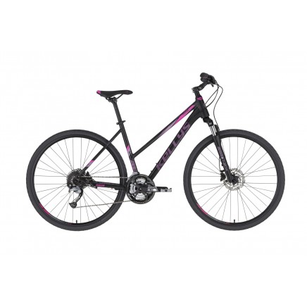 Kellys Pheebe 10 2021