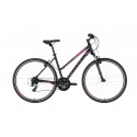 Kellys Clea 30