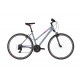 Kellys Clea 10 2021