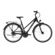 Kellys Cristy 50 2021