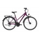 Kellys Cristy 40 2021