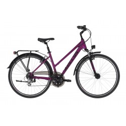 Kellys Cristy 40 2021