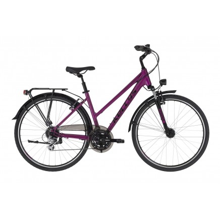 Kellys Cristy 40 2021