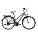 Kellys Cristy 10 2021