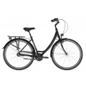 Kellys Avery 50 2021