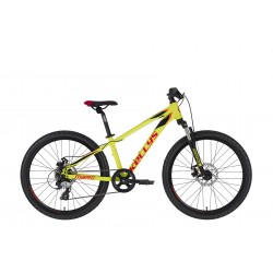 Kellys Marc 50 2021