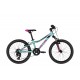 Kellys Lumi 50 2021