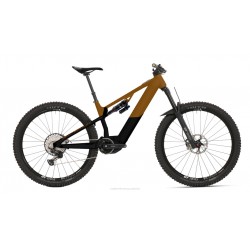 Superior eXF 9019 B 2023