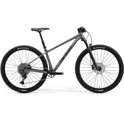 MERIDA BIG.NINE TR 600 2024