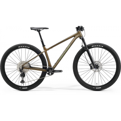 MERIDA BIG.NINE TR LIMITED  2024