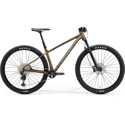 MERIDA BIG.NINE TR LIMITED  2024