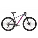 Kellys Mystery 50